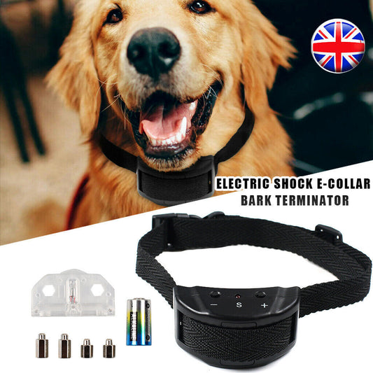 Dog wearing an electric shock e-collar with packaging and accessories on a white background.